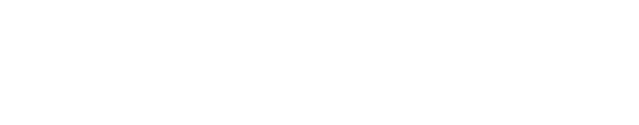 ApprenticeshipNH Logo white