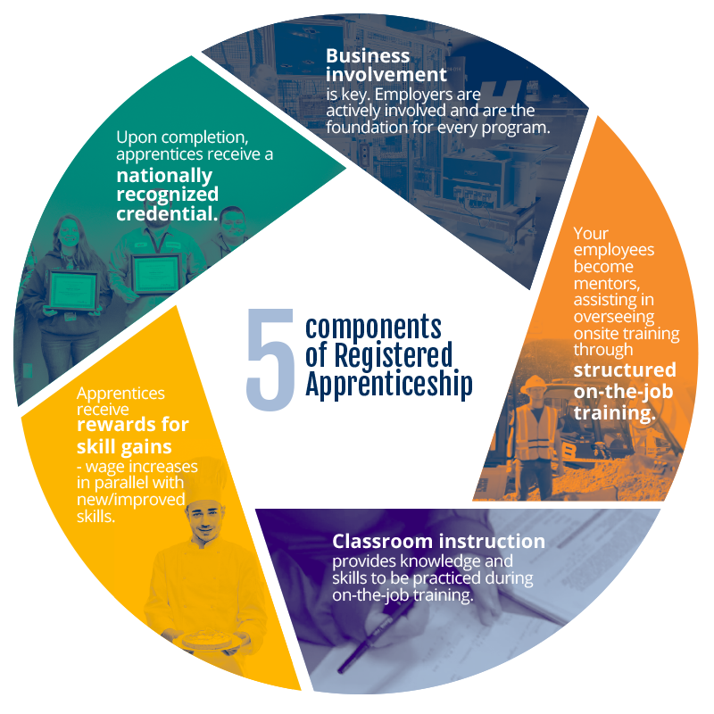 Infographic showing 5 components of a registered apprenticeship, including a high school apprenticeship program, in a segmented circular diagram with brief descriptions.