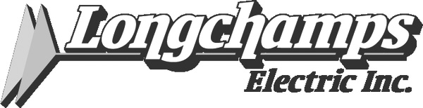 Longchamps electric logo gs