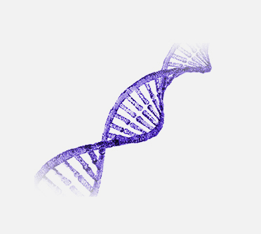 A purple DNA double helix strand on a white background, representing the innovation and learning at the heart of ApprenticeshipNH.